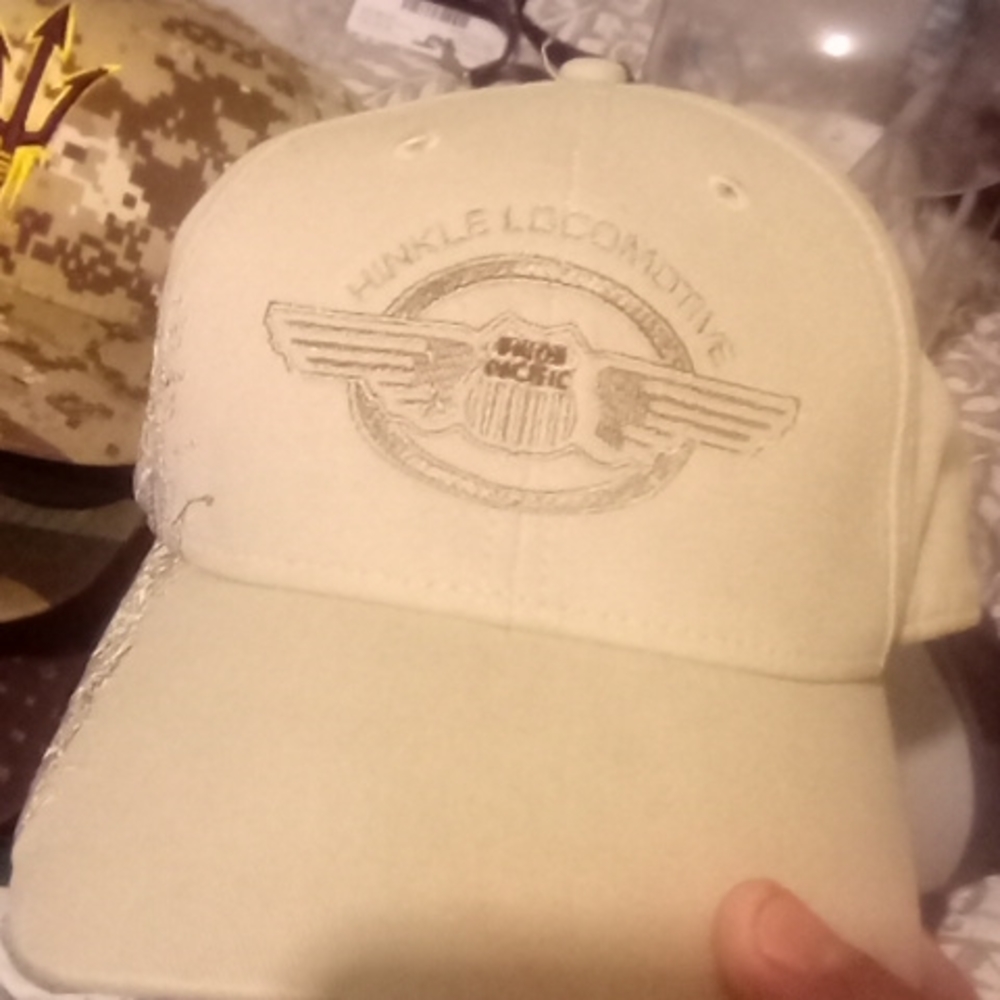 Vintage Dri-duck wildlife series Hinkle locomotive union pacific snapback hat.